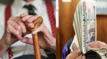 زيادة معاشات التأمينات في يناير 2026 ترتبط بتعديل ضروري يعكس التضخم ويقلل الفجوة الشرائية 1